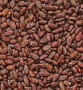 grows in africa – africa cocoa suppliers